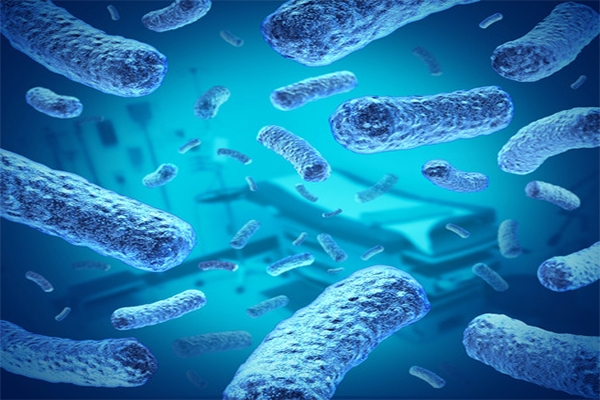 Bacteria in Hospital Setting